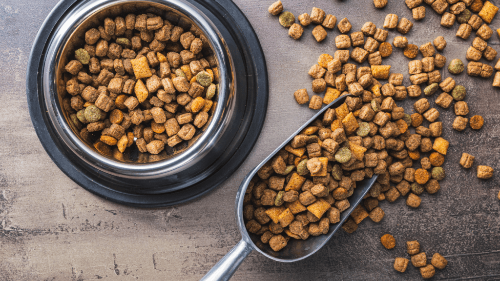 Best Pet Food