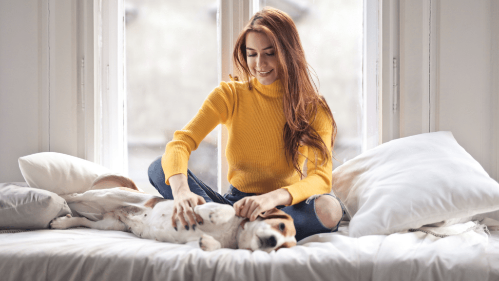 Choosing Pet-Friendly Accommodations