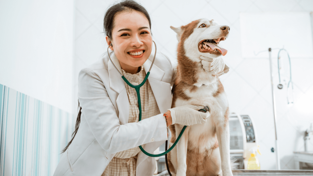 Dogs on Vet clinic