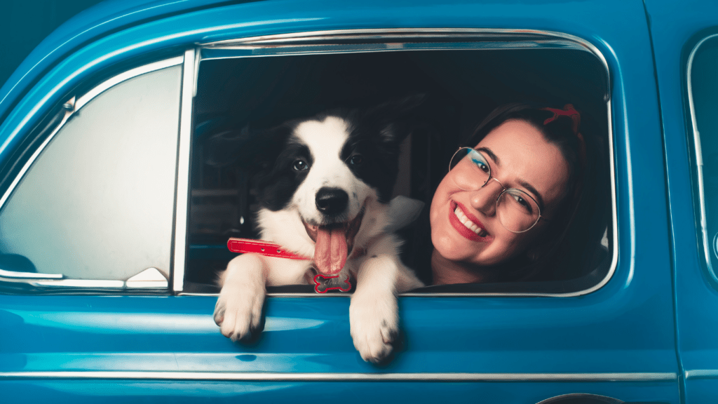 How to Avoid Travel-Related Stress for Your Pet: Expert Tips for a Calm Journey