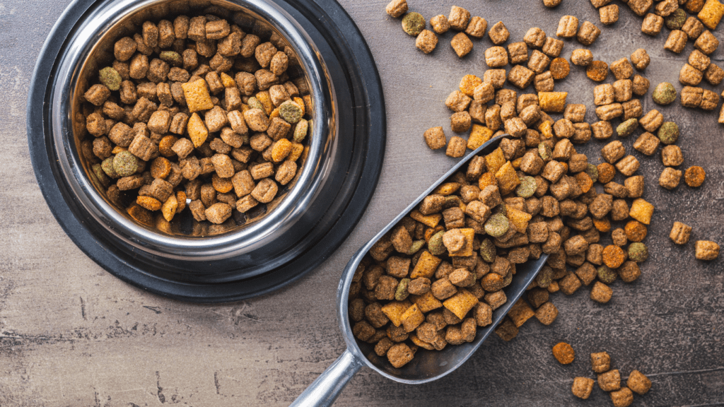 How to Prevent Food-Related Allergies in Pets: Expert Tips and Vet-Approved Strategies