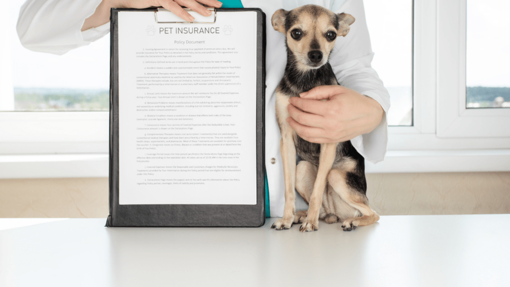 Key Features of Pet Insurance in 2024