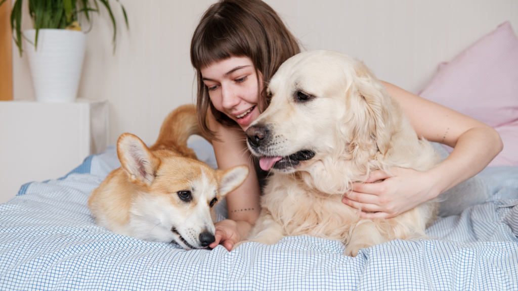 Woman and her pets in a hotel room