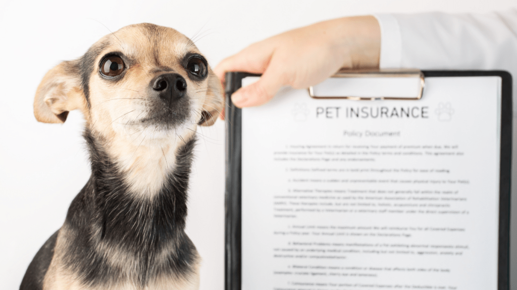 Pet Insurance in 2024: Is It Worth the Cost for Your Furry Friend?