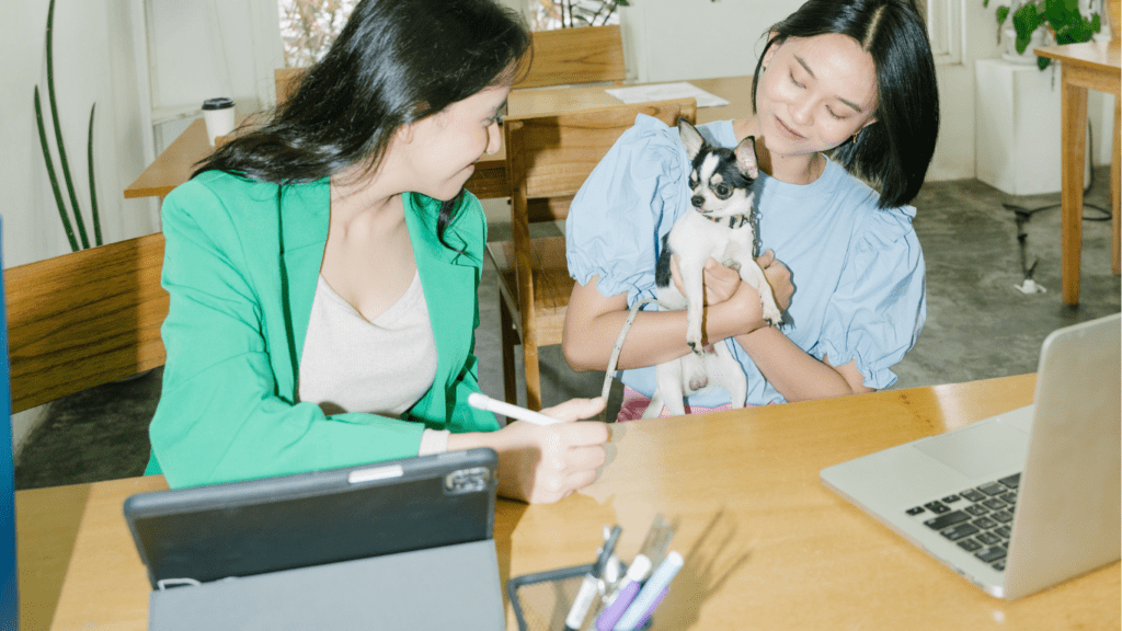 Pet in the office