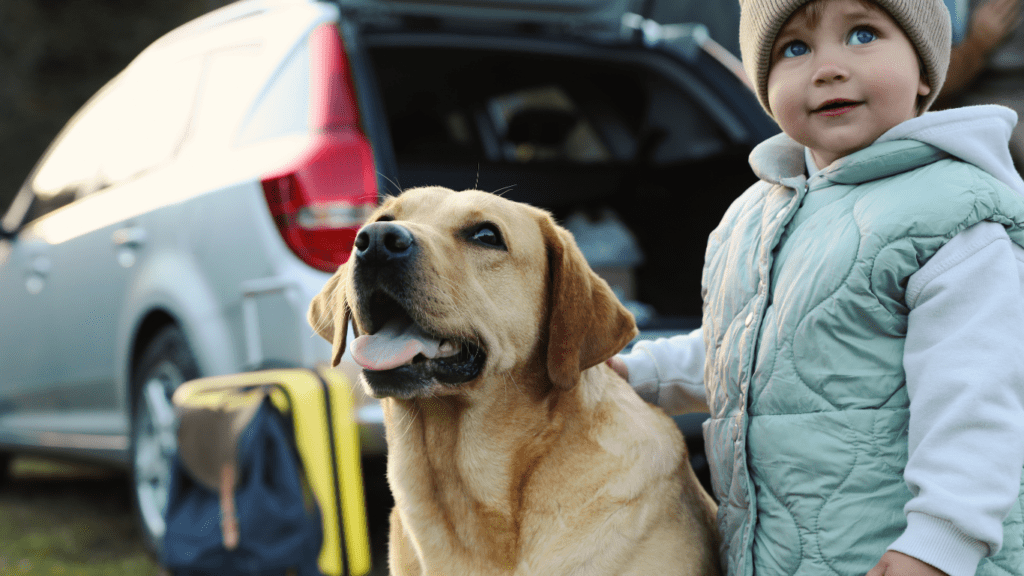 Tips for Car Travel with Pets