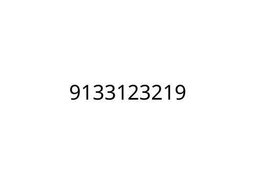 9133123219