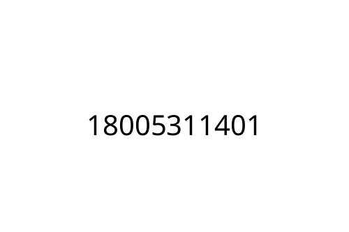 18005311401