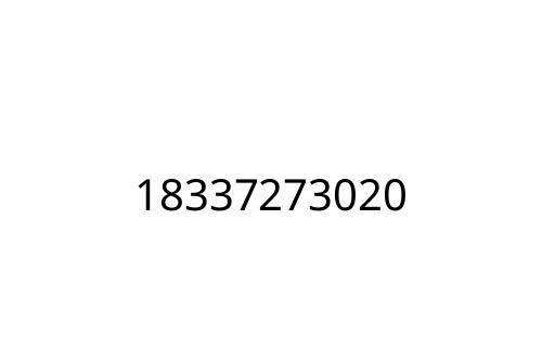 18337273020
