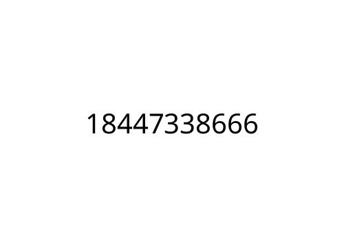 18447338666