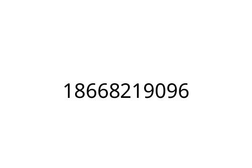18668219096