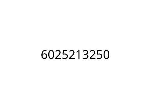 6025213250