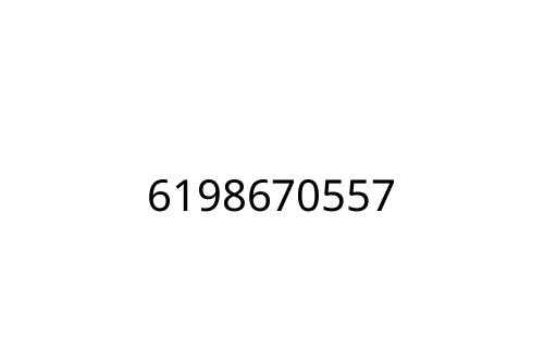 6198670557