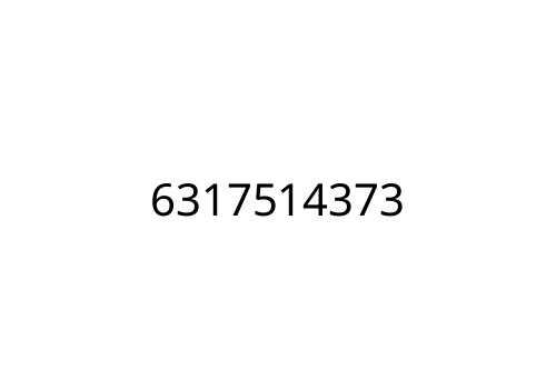 6317514373