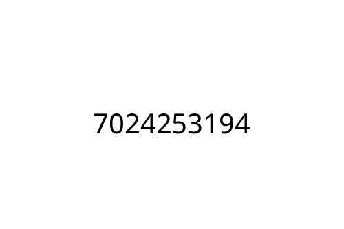 7024253194