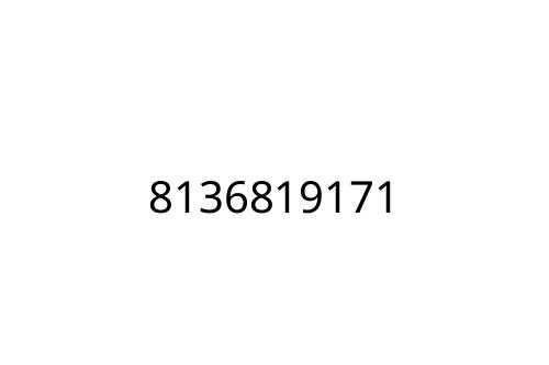 8136819171