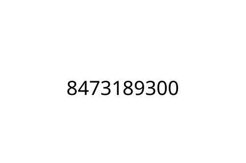 8473189300