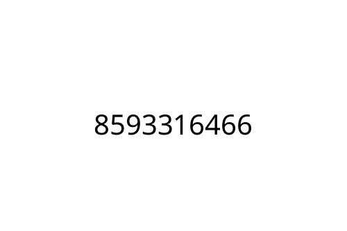 8593316466