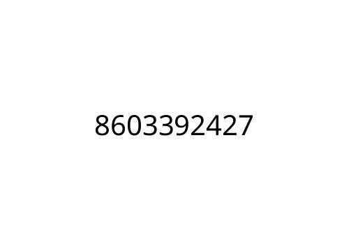 8603392427