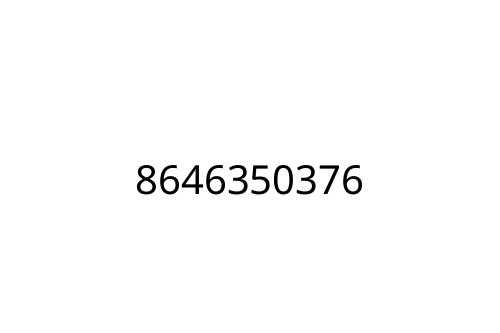 8646350376
