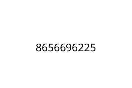 8656696225