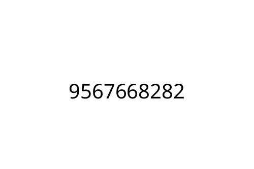9567668282