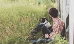 llblogpet advice for birds from lovelolablog