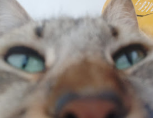 baby tv what a wonderful day chomikuj