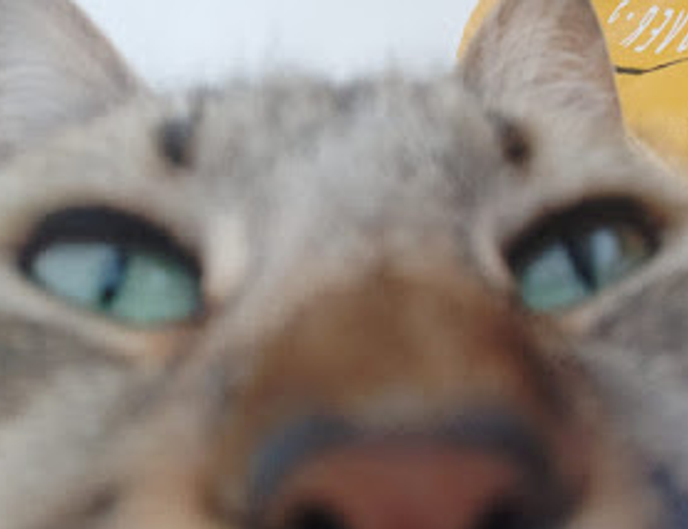 baby tv what a wonderful day chomikuj