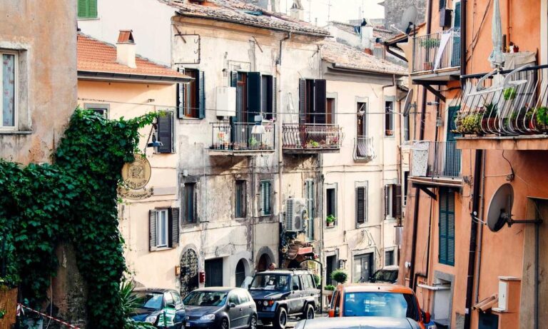 daytime star mangabuddy