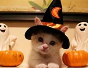 libra hari ini gemintang