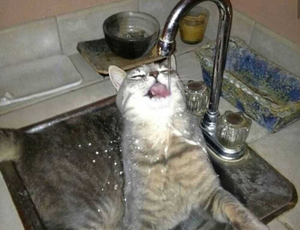 mia sofie onlyfans leaks