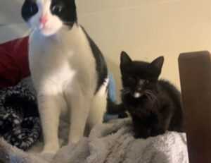 mujeres fondos para perfil de whatsapp