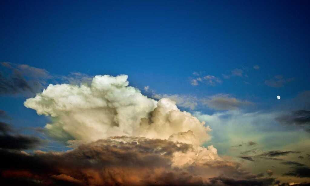 onenightfriend delete account