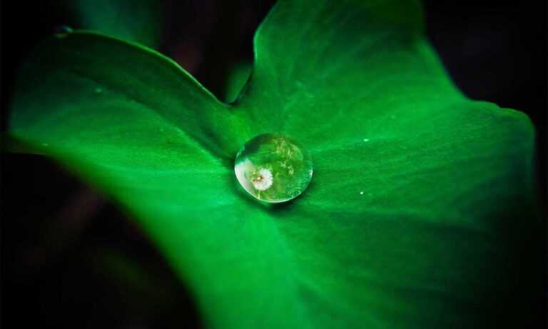 vintage feliz cumpleaños fashion mujer