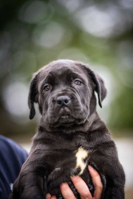 26dc7ef6 6d96 49fd bbae a0889cda23cf