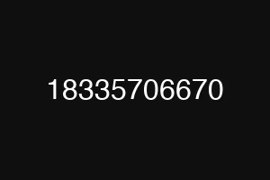 18335706670