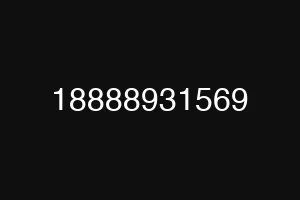 18888931569
