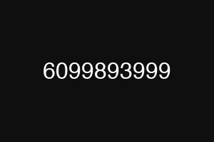 6099893999