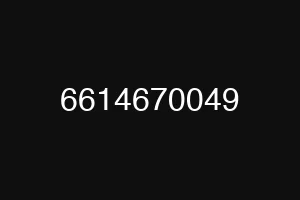 6614670049