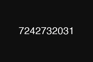 7242732031
