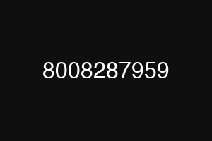 8008287959