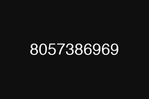 8057386969