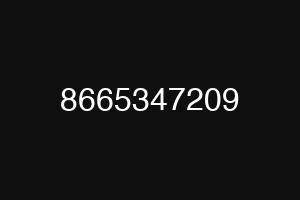 8665347209