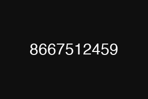 8667512459