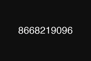 8668219096