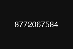 8772067584