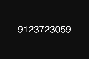 9123723059