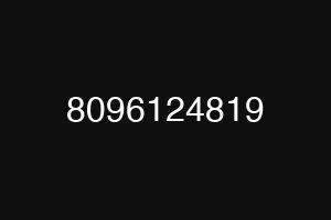 8096124819