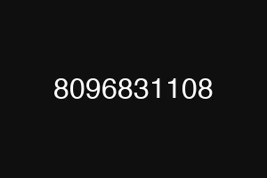 8096831108